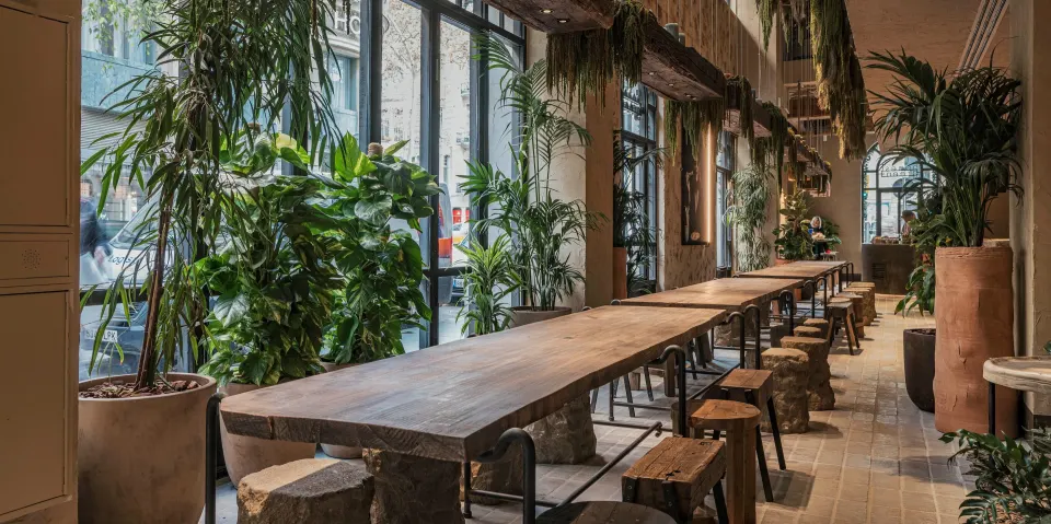 Honest Greens La Rambla店の緑が多い店内